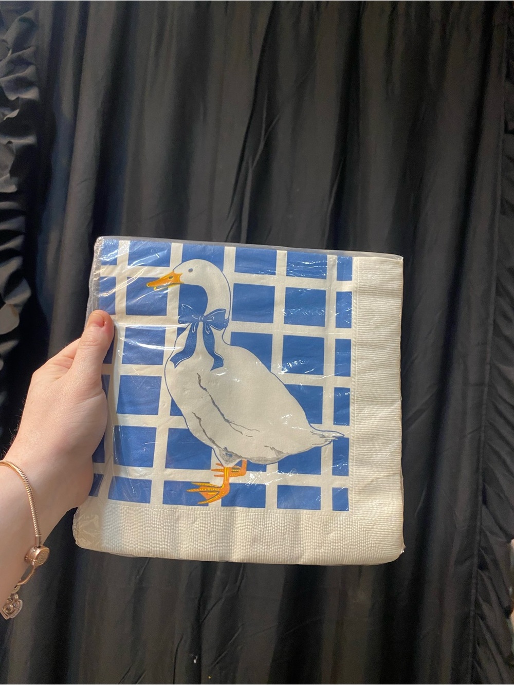 Duck Graphic Paper Napkins in Blue & White